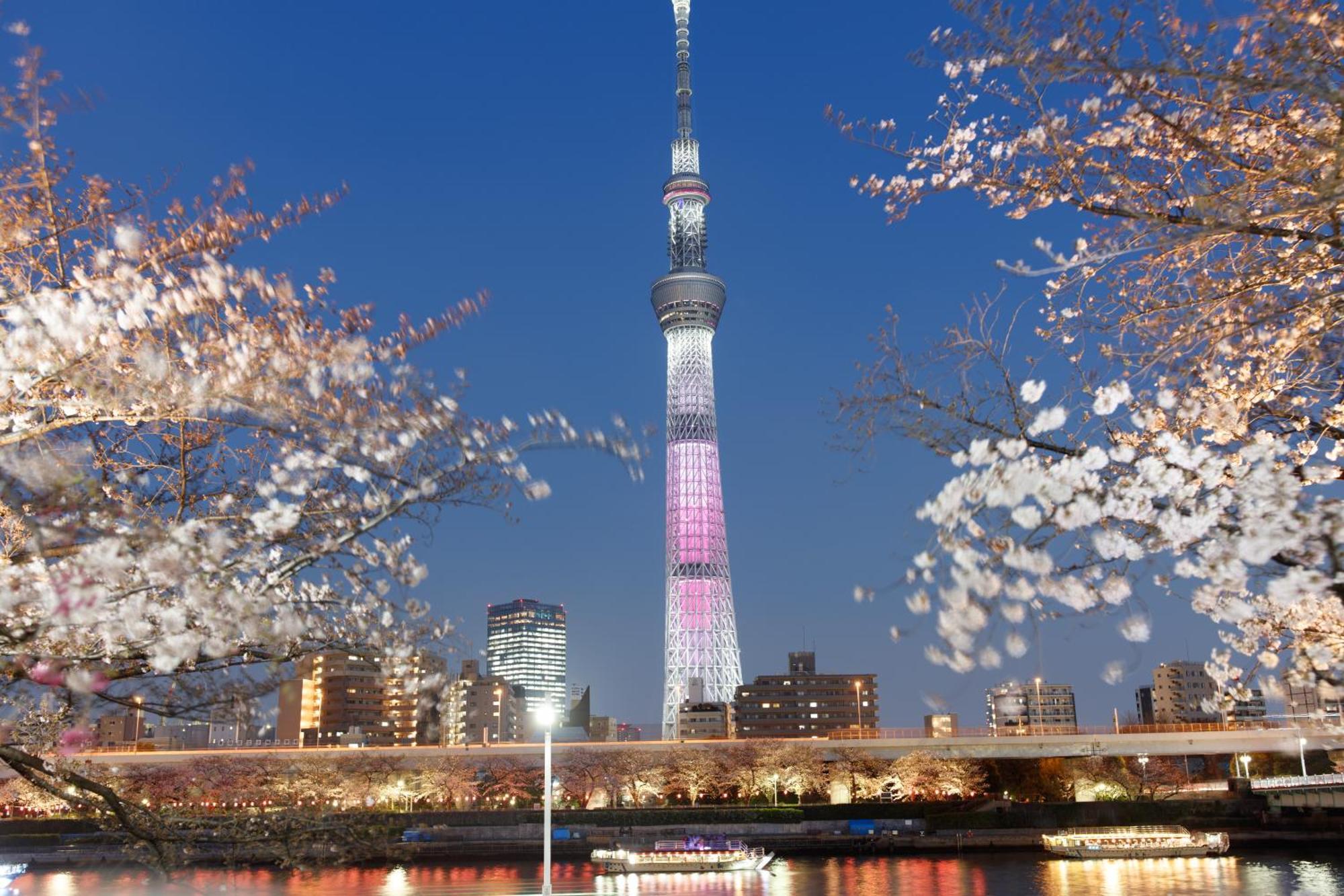 東京雷門ー千の森asakusa Tokyo Exterior photo